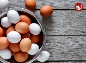 «تخم‌مرغ قهوه‌ای» بهتر است یا «تخم‌مرغ سفید»؟