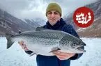 ببینید| غذای روستایی در آذربایجان؛ پخت ماهی سالمون پوشیده شده با نمک در هوای برفی