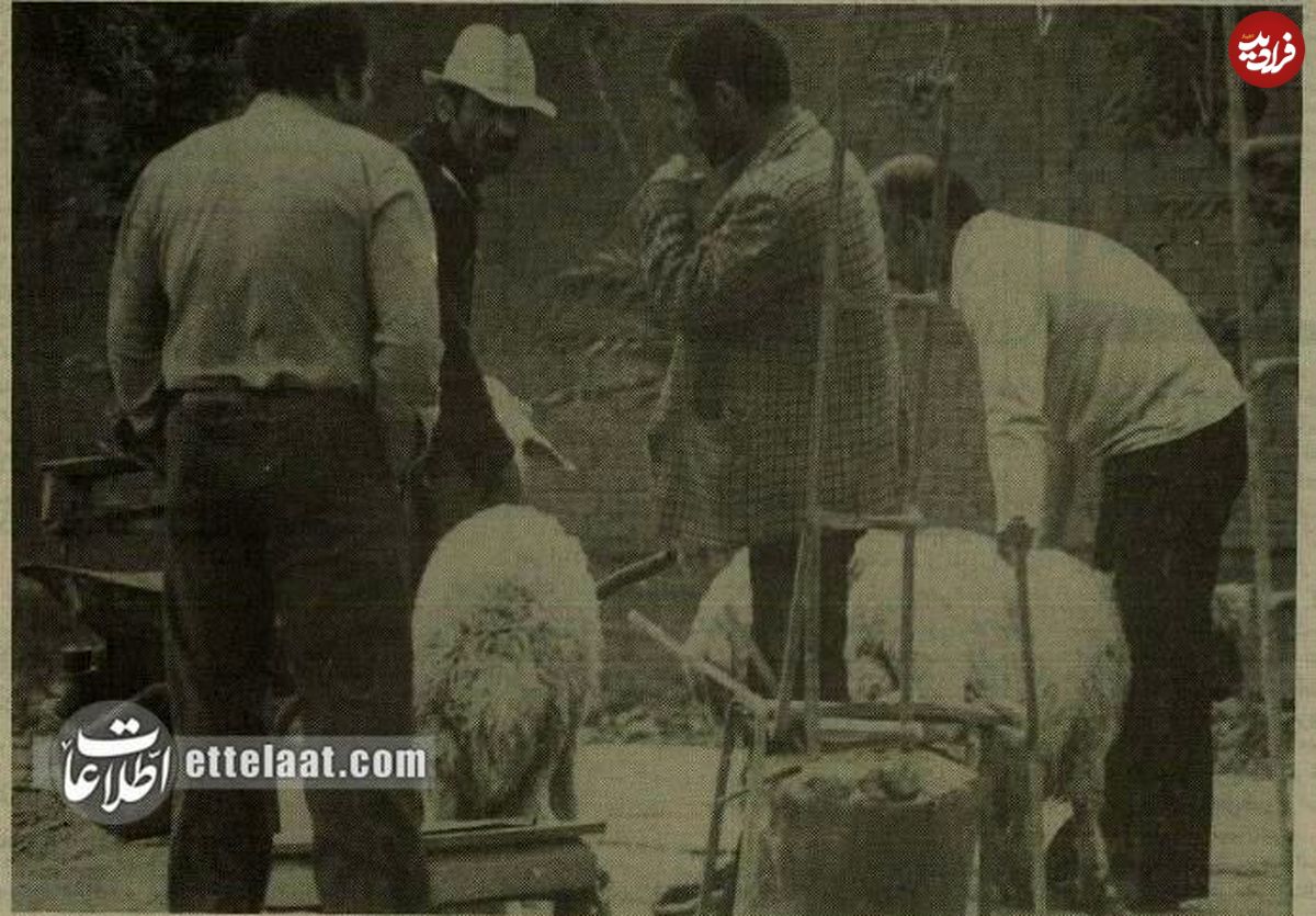 تصاویر؛ سفر به تهران قدیم؛ گزارش تصویری از قصابی در پیادهروهای تهران!