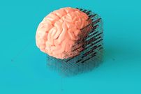 آیا می‌دانستید «مغز زنان» هر ماه دوباره متولد می‌شود؟