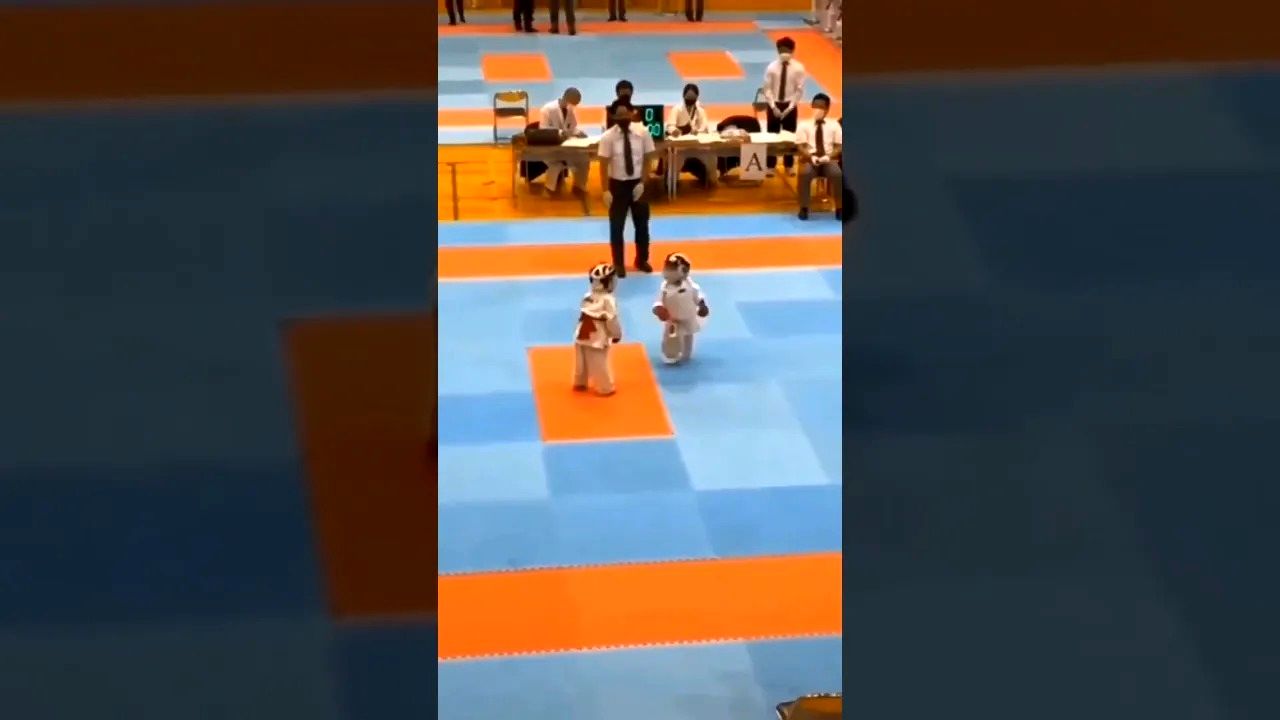 (ویدئو) مبارزه رسمی این دو کودک کاراته باز شما را از خنده روده بر می کند!