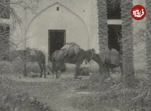 عکس| سفر زمان؛ تصویری از یک مهمانسرا در اطراف کازرون؛ 135 سال قبل