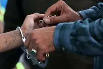 شبح باغ‌ویلاها دستگیر شد؛ پلیس او را از میان دیوار بیرون کشید