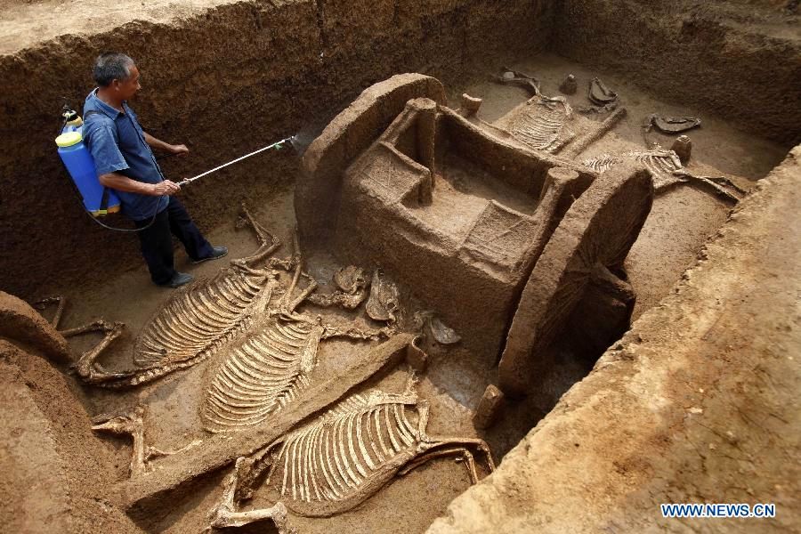 تصاویر حیرت‌انگیز از مقبره‌های ۲۵۰۰ سالۀ چینی که پر از «اسب و ارابه» بودند