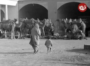 عکس| سفر به ایران قدیم؛ «شترها و کامیون‌ها» در یک گاراژ در سبزوار؛ سال 1313