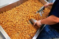 ببینید| غذای خیابانی در آمریکا؛ آماده سازی پاپ کورن در شیکاگو