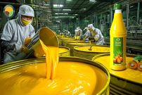 ببینید؛ روغن پالم چگونه تولید می شود؟