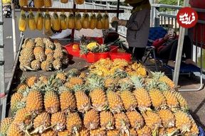 ببینید؛ مهارت دیدنی فروشنده خیابانی در برش سریع آناناس در ویتنام