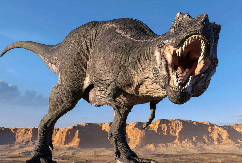 عامل اصلی مرگ دایناسورها مشخص شد؛ کوچک‌تر از آنچه که تصور می‌کردید!