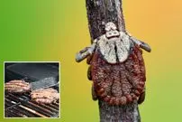 حساسیت به گوشت قرمز به خاطر گزش «کنه ستاره تنها» باعث مرگ مرد ۴۷ ساله شد