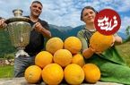 ببینید؛ غذای روستایی در آذربایجان؛ تهیه مربای ملون و پخت کروسان در طبیعت