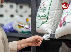 قیمت برنج ایرانی در بازار