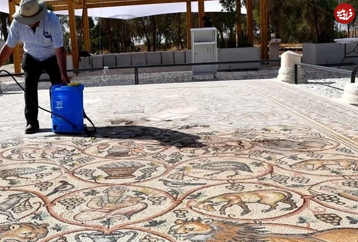 موزاییک رومی با نقش «طاووس، گاو و مرد فلوتزن» بعد از ۱۶۰۰ سال از زیر خاک بیرون آمد