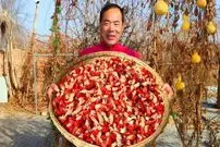 ببینید| غذای روستایی در چین؛ پخت نودل با خرچنگ آب شیرین