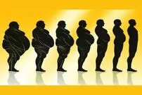 چه چیزی باعث اضافه وزن و چاقی می شود؟