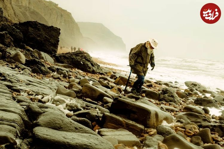 (تصاویر) لذت 50 سال جستجوی «فسیل» در ساحل
