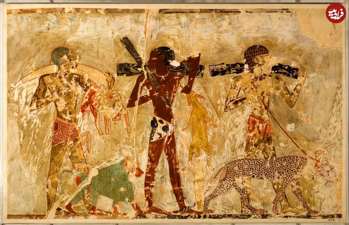 مقبرۀ 3500 سالۀ مربوط به مصر باستان که «حیات وحش آفریقا» را به تصویر کشیده است