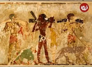 مقبرۀ 3500 سالۀ مربوط به مصر باستان که «حیات وحش آفریقا» را به تصویر کشیده است