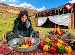 ببینید| غذای روستایی در ایران؛ پخت دلمه توسط یک بانوی عشایر و در طبیعت
