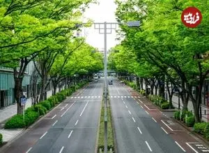 تصاویر؛ چرا در خیابان‌های ژاپن سطل زباله پیدا نمی‌کنید؟