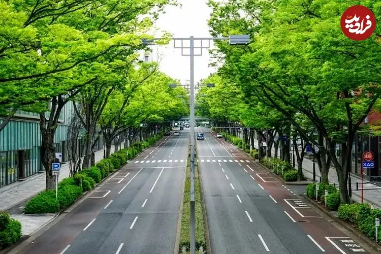 تصاویر؛ چرا در خیابان‌های ژاپن سطل زباله پیدا نمی‌کنید؟
