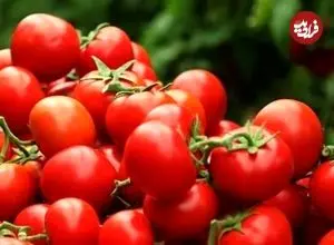 نقش گوجه فرنگی در سلامت لثه