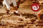 فسیل ۵۲۰ میلیون ساله با مغز و روده‌هایی سالم مثل روز اول پیدا شد!
