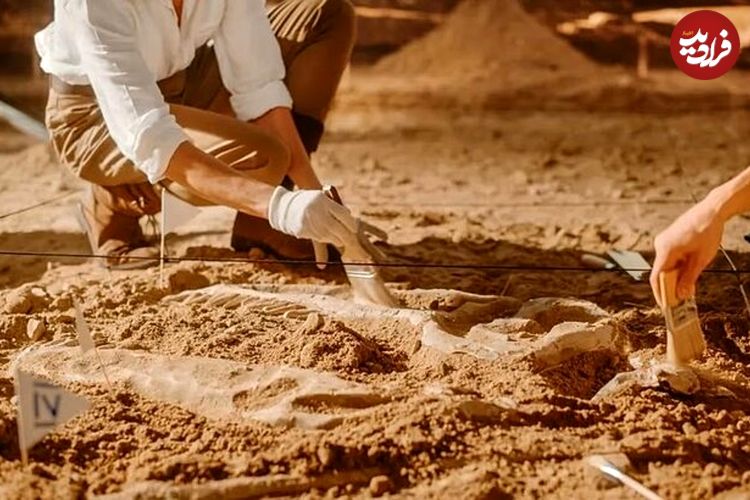 فسیل ۵۲۰ میلیون ساله با مغز و روده‌هایی سالم مثل روز اول پیدا شد!