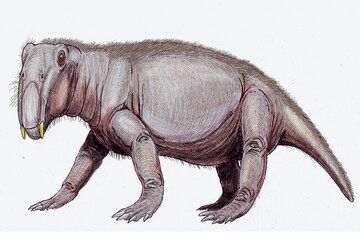 (عکس) شکل عجیب و ترسناک خوک دوران دایناسورها 