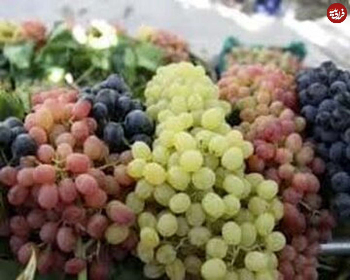 خواص معجزه آسای انگور