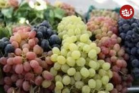 خواص معجزه آسای انگور