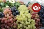 خواص معجزه آسای انگور