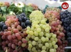 خواص معجزه آسای انگور