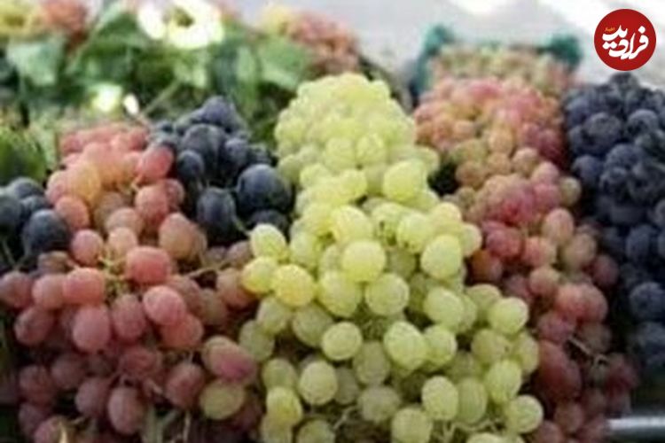 خواص معجزه آسای انگور
