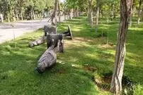 سقوط مرگبار یک مجسمه جان نوجوان ۱۱ ساله را گرفت