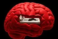 راز تنبلی: مغز چگونه باعث کاهش انگیزه و فعالیت می‌شود؟