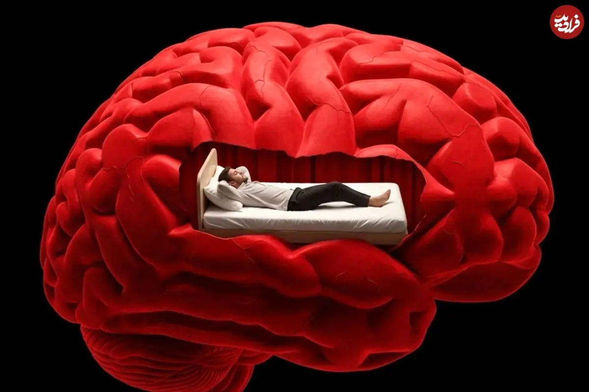راز تنبلی: مغز چگونه باعث کاهش انگیزه و فعالیت می‌شود؟