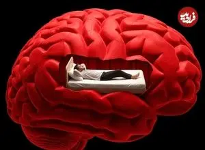 راز تنبلی: مغز چگونه باعث کاهش انگیزه و فعالیت می‌شود؟