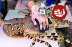 ببینید| غذای خیابانی در ژاپن؛ پخت غذاهای مختلف با لابستر رنگین کمانی بزرگ در اوکیناوا