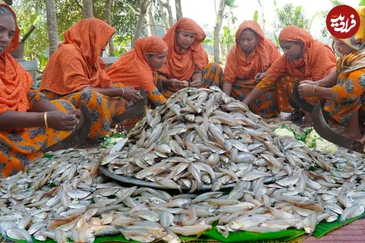 ببینید| غذای روستایی در هند؛ پخت خوراک کاری با ماهی های کوچک و سبزیجات در روستا
