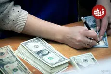 قیمت دلار امروز پنجشنبه 10 اردیبهشت 1405