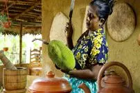 ببینید| غذای روستایی در سریلانکا؛ پخت یک غذای متفاوت با جک فروت