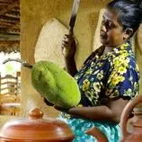 ببینید| غذای روستایی در سریلانکا؛ پخت یک غذای متفاوت با جک فروت