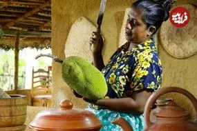ببینید| غذای روستایی در سریلانکا؛ پخت یک غذای متفاوت با جک فروت