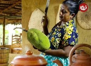 ببینید| غذای روستایی در سریلانکا؛ پخت یک غذای متفاوت با جک فروت