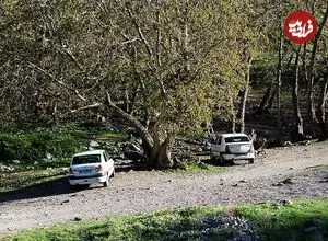 عکس| سفر زمان؛ عبور کالسکۀ یک مقام حکومتی از یک جاده زیبا نزدیک ارومیه؛ 140 سال قبل