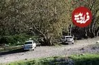 عکس| سفر زمان؛ عبور کالسکۀ یک مقام حکومتی از یک جاده زیبا نزدیک ارومیه؛ 140 سال قبل