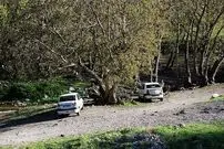 عکس| سفر زمان؛ عبور کالسکۀ یک مقام حکومتی از یک جاده زیبا نزدیک ارومیه؛ 140 سال قبل