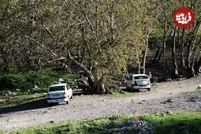 عکس| سفر زمان؛ عبور کالسکۀ یک مقام حکومتی از یک جاده زیبا نزدیک ارومیه؛ 140 سال قبل