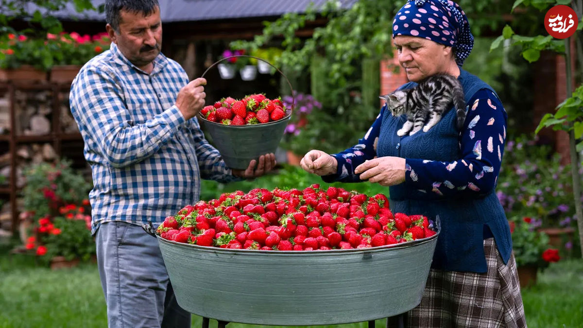 (ویدئو) نحوه پخت مربا و کیک با توت فرنگی به روش مادربزرگ آذربایجانی